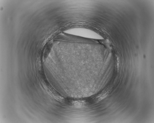 X0000052570508200507292010