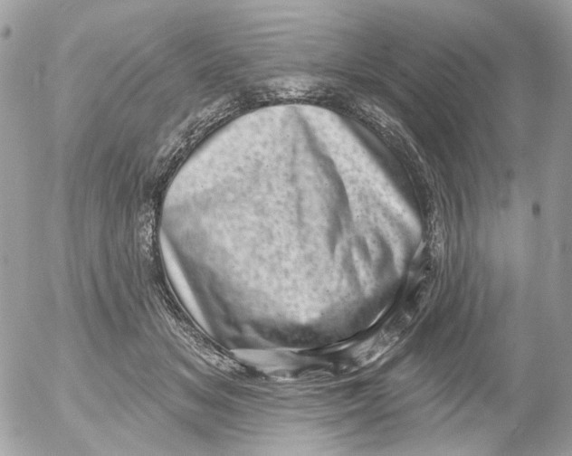 X0000052570509200507292010