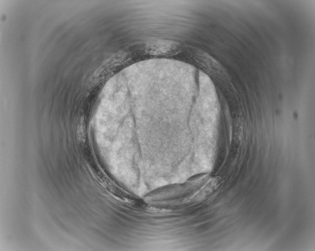 X0000052570510200507292010