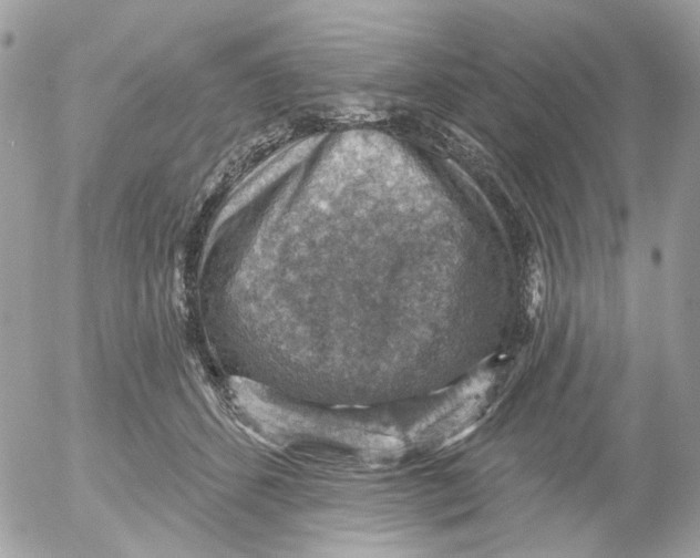 X0000052570512200507292010