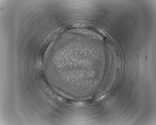 X0000052570513200507292010