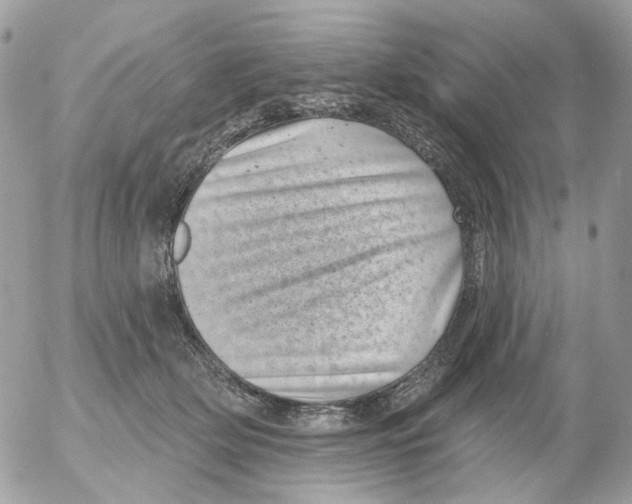 X0000052570514200507292010