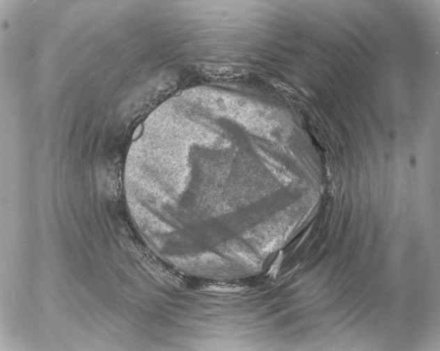 X0000052570515200507292010