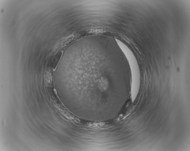 X0000052570517200507292010