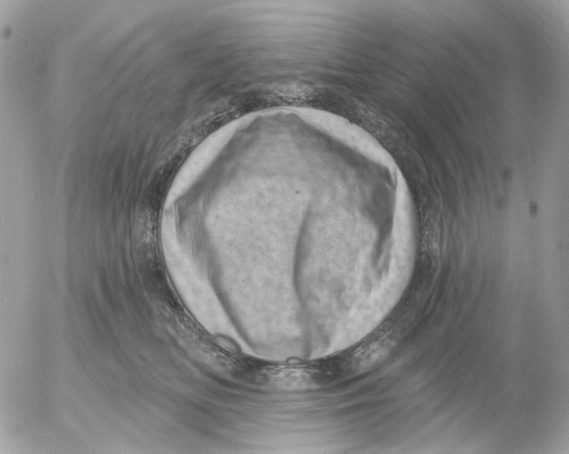 X0000052570518200507292010