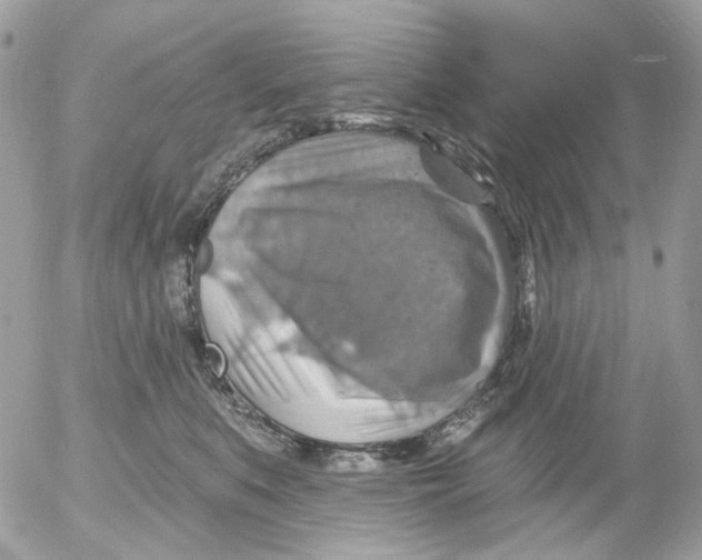 X0000052570519200507292010