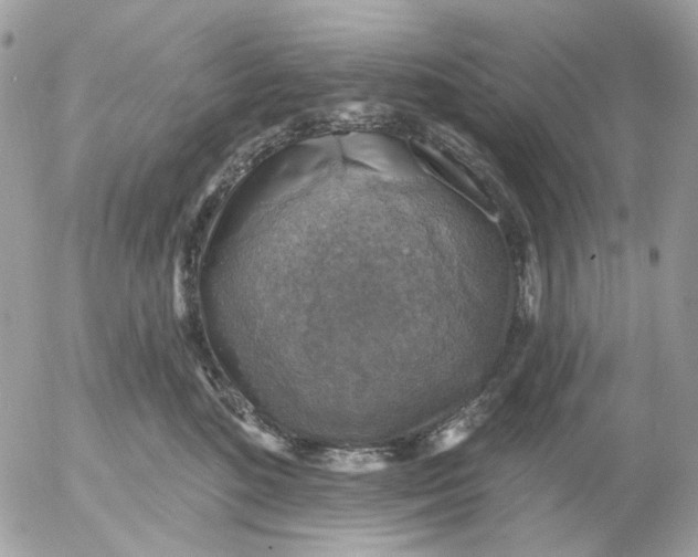 X0000052570520200507292010