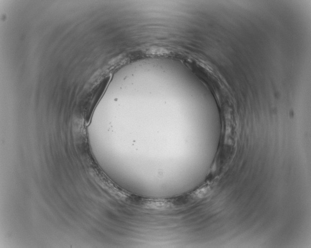 X0000052570521200507292009