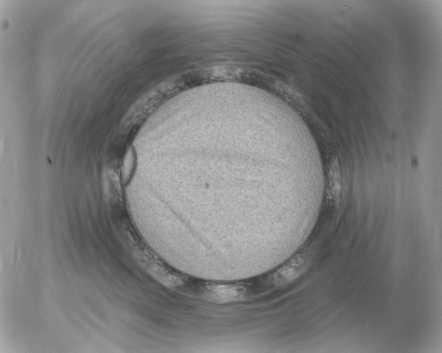 X0000052570522200507292009