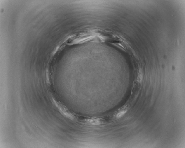 X0000052570524200507292009