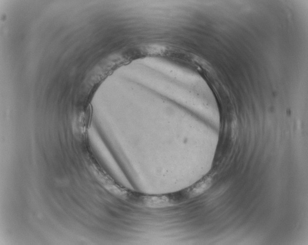 X0000052570525200507292009