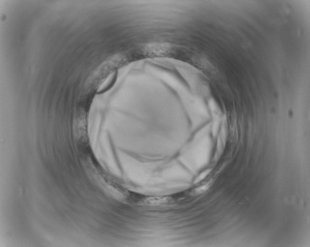 X0000052570526200507292009