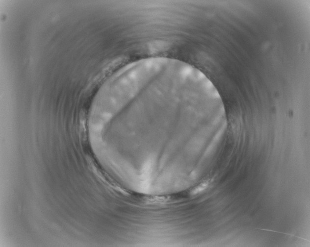 X0000052570527200507292009