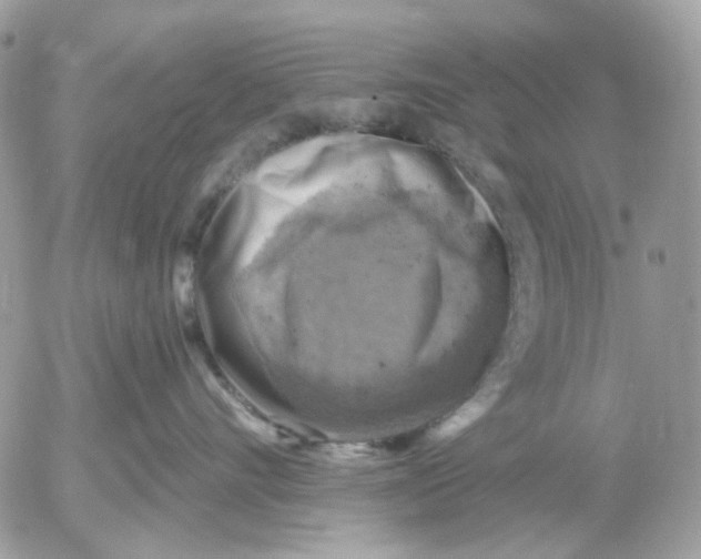 X0000052570528200507292009