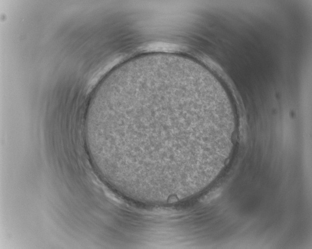 X0000052570529200507292009