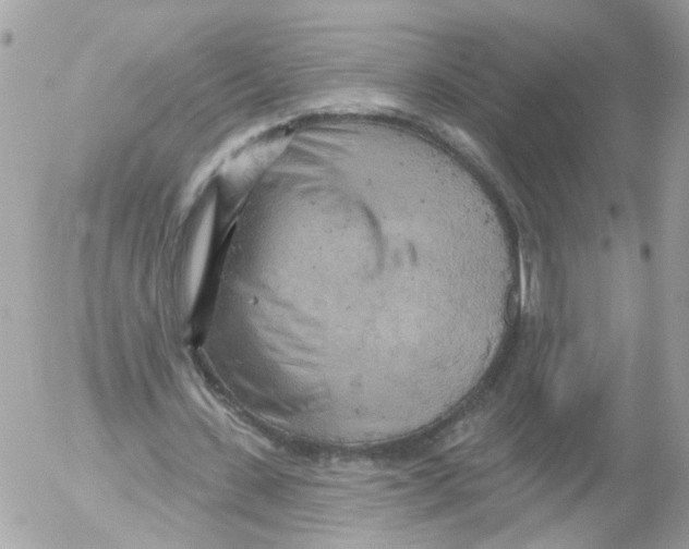 X0000052570531200507292009