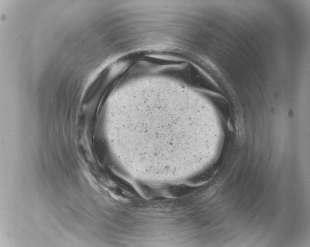 X0000052570532200507292009