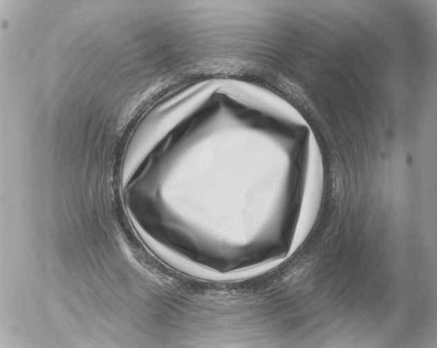 X0000052570538200507292009