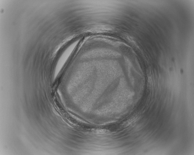 X0000052570539200507292009