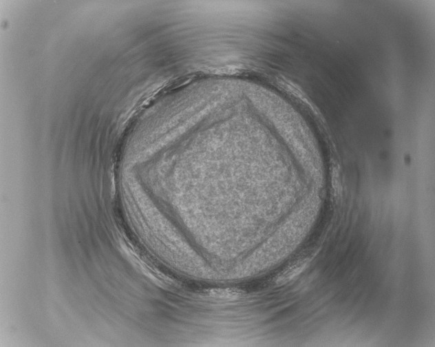 X0000052570541200507292009