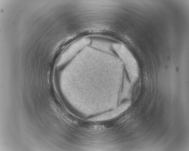 X0000052570543200507292009