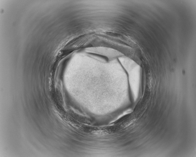 X0000052570544200507292009