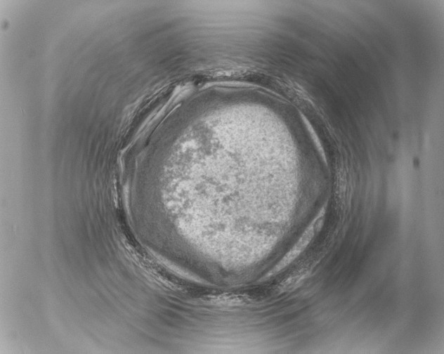 X0000052570545200507292009