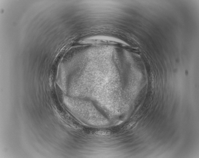 X0000052570546200507292009