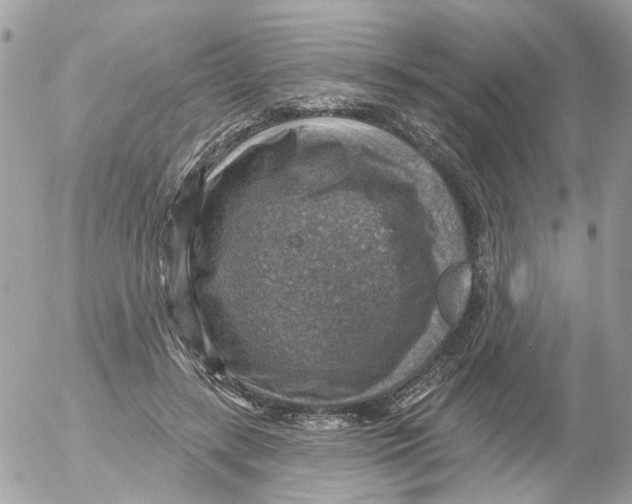 X0000052570547200507292009