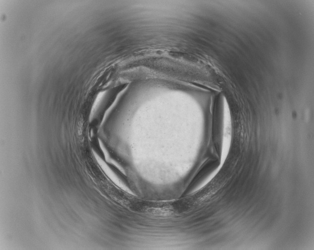 X0000052570548200507292009