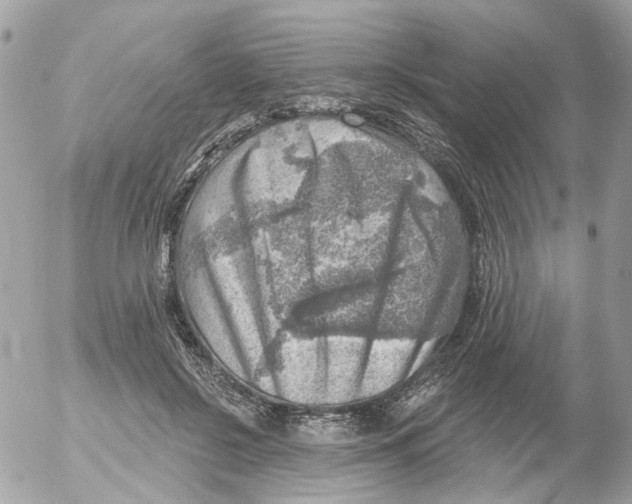 X0000052570550200507292009