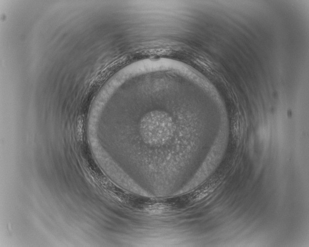 X0000052570551200507292009