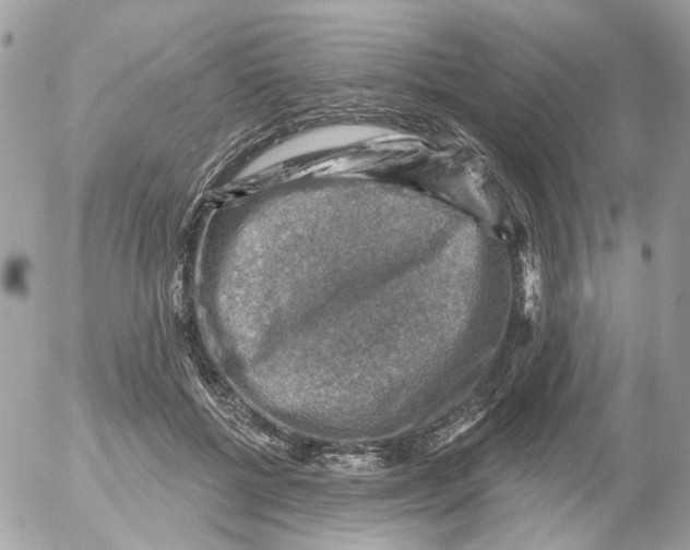 X0000052570552200507292009