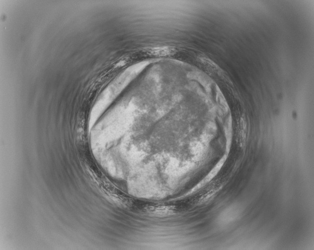 X0000052570553200507292009