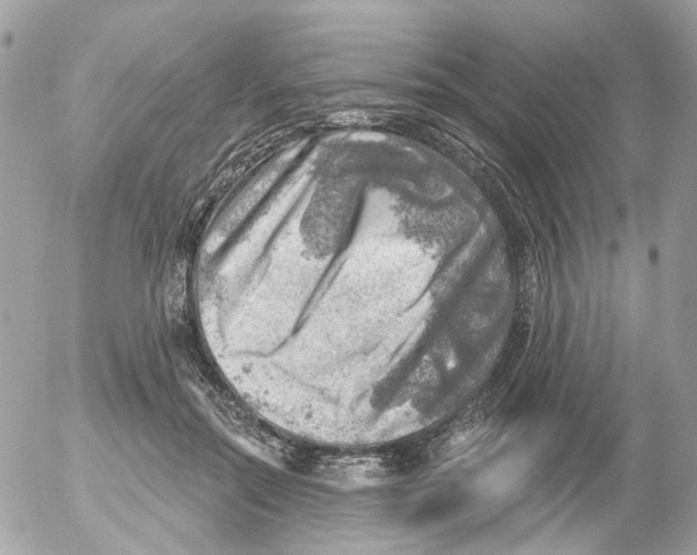 X0000052570554200507292009