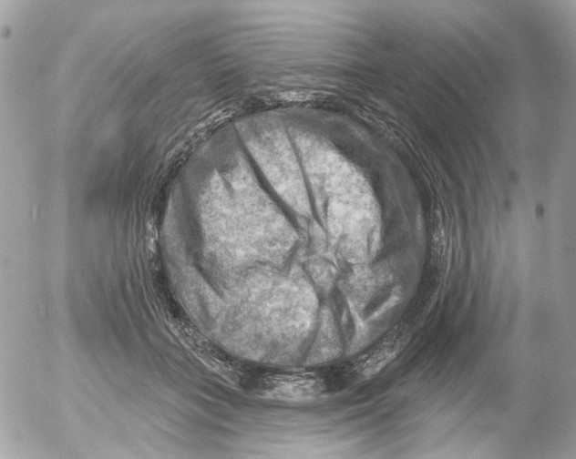 X0000052570555200507292009