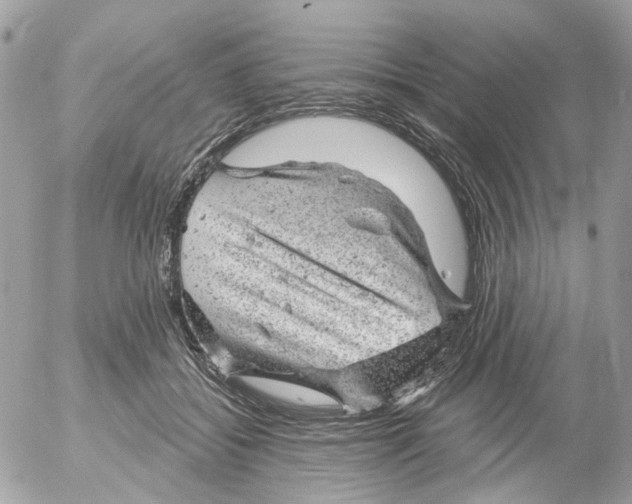 X0000052570556200507292009