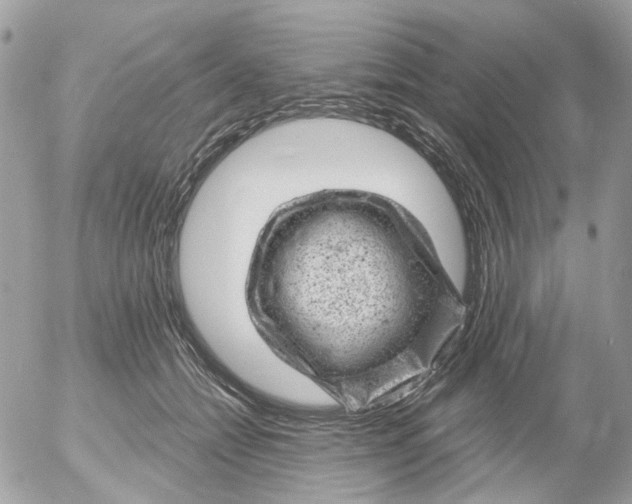 X0000052570558200507292009