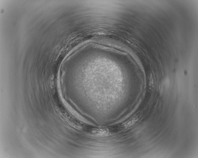 X0000052570559200507292009