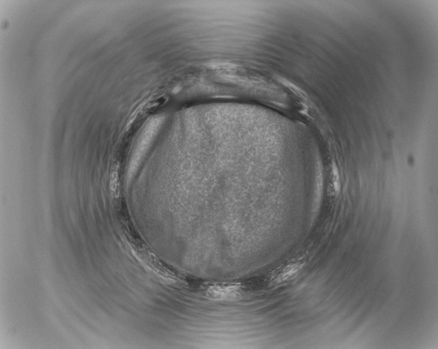 X0000052570560200507292009