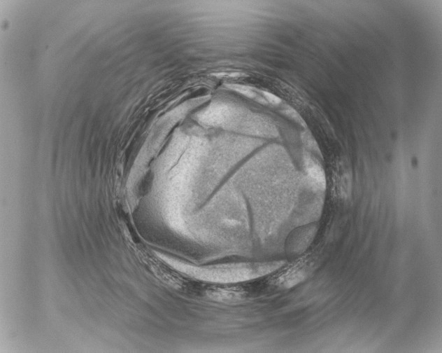 X0000052570561200507292009