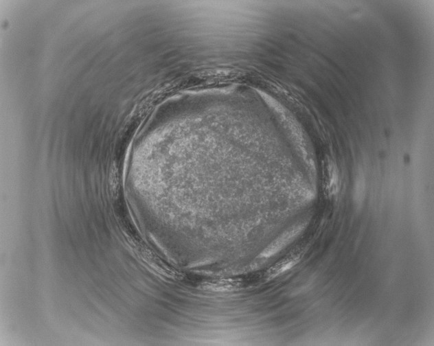 X0000052570563200507292009