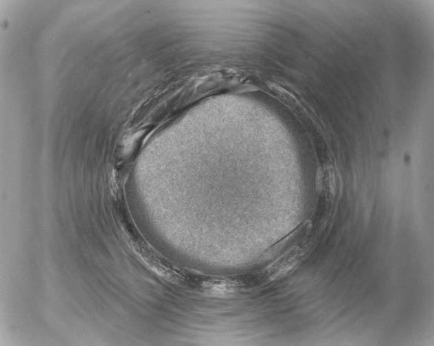 X0000052570564200507292009