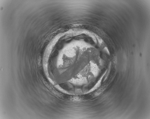 X0000052570565200507292009