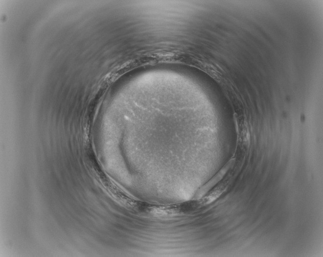 X0000052570568200507292009