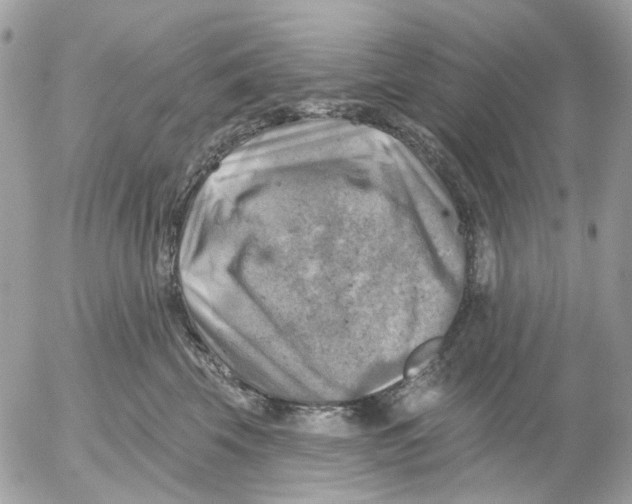 X0000052570569200507292009