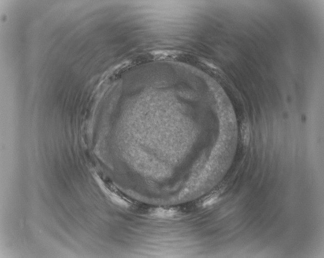 X0000052570570200507292009