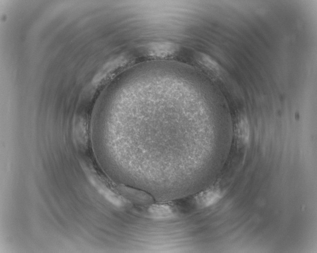 X0000052570572200507292009