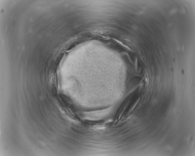 X0000052570574200507292009