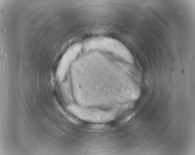 X0000052570575200507292009